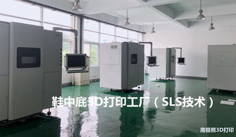 安徽卓銳三維3D打印鞋底工廠投產儀式隆重舉行，大卓科技引領行業新浪潮