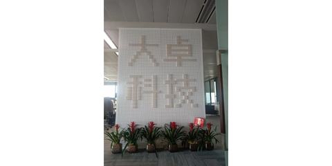大卓科技 賦能智能未來，引領行業變革